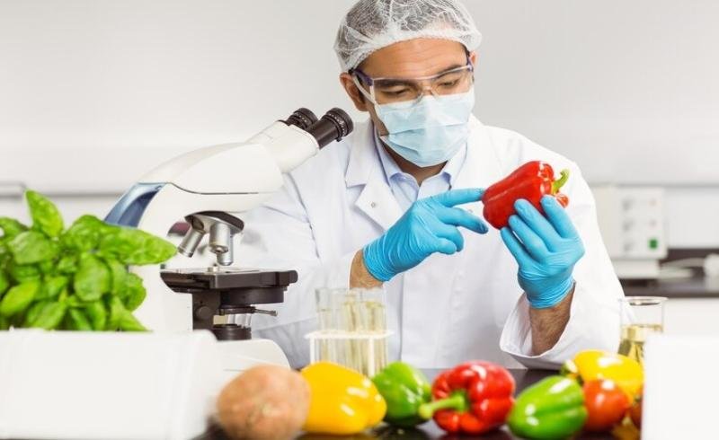The Real Cost of Ignoring Food License Registration